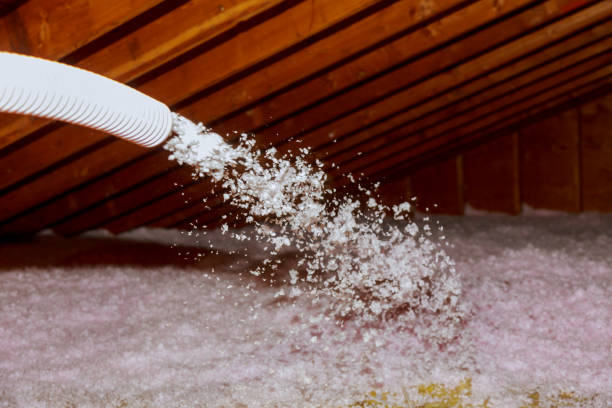 Best Soundproof Insulation Installation  in Comer, GA