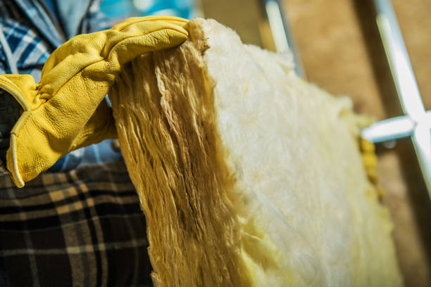 Best Home Insulation Services  in Comer, GA